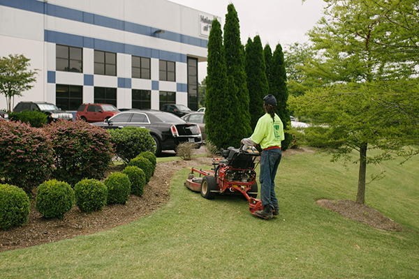Lawn care service
