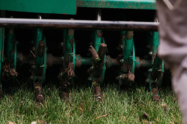 Core aeration service
