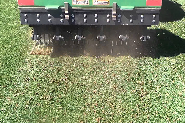 Core aeration service