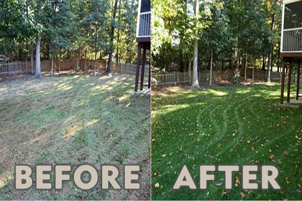 Core aeration service
